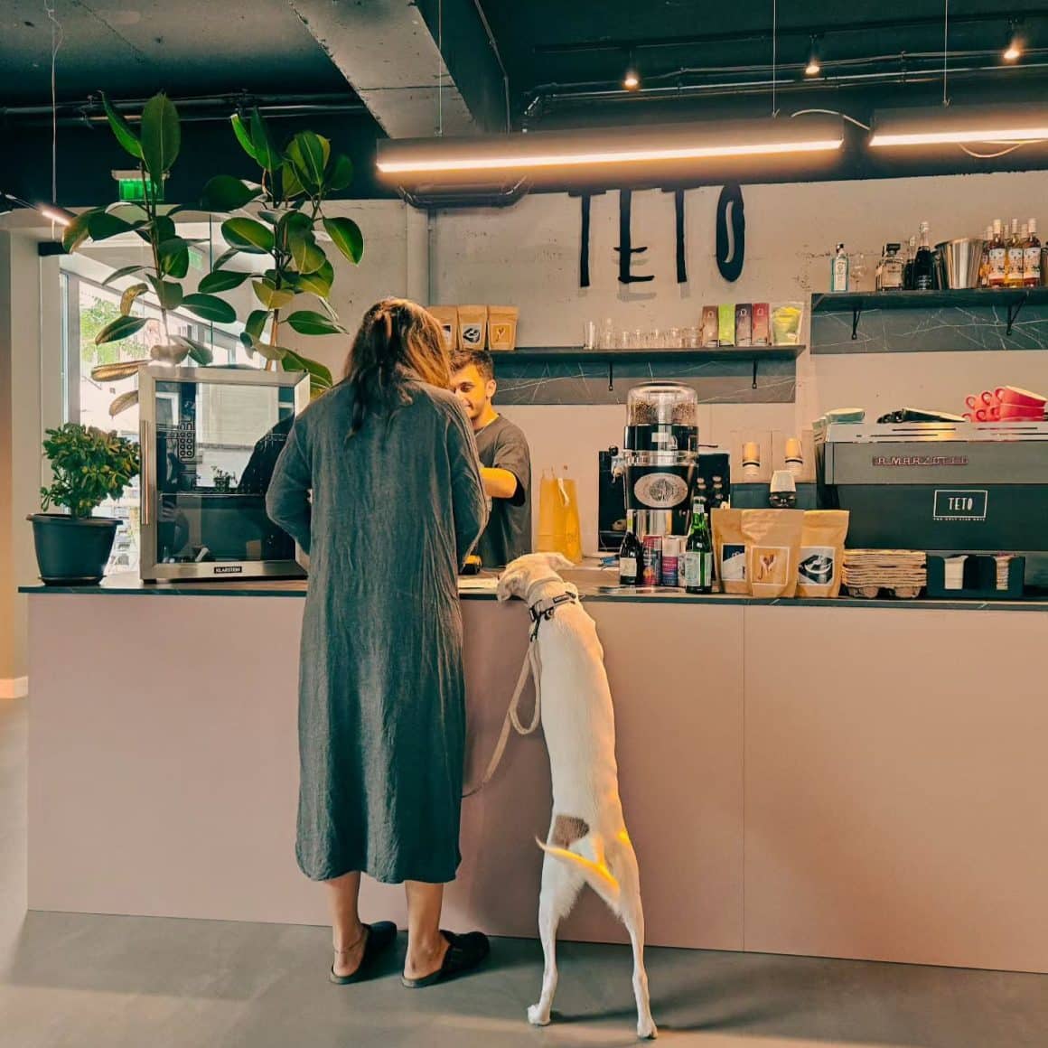 TETO se numără printre acele cafenele pentru lucru remote în București unde găsești un spațiu prietenos, bar modern și o atmosferă relaxată.