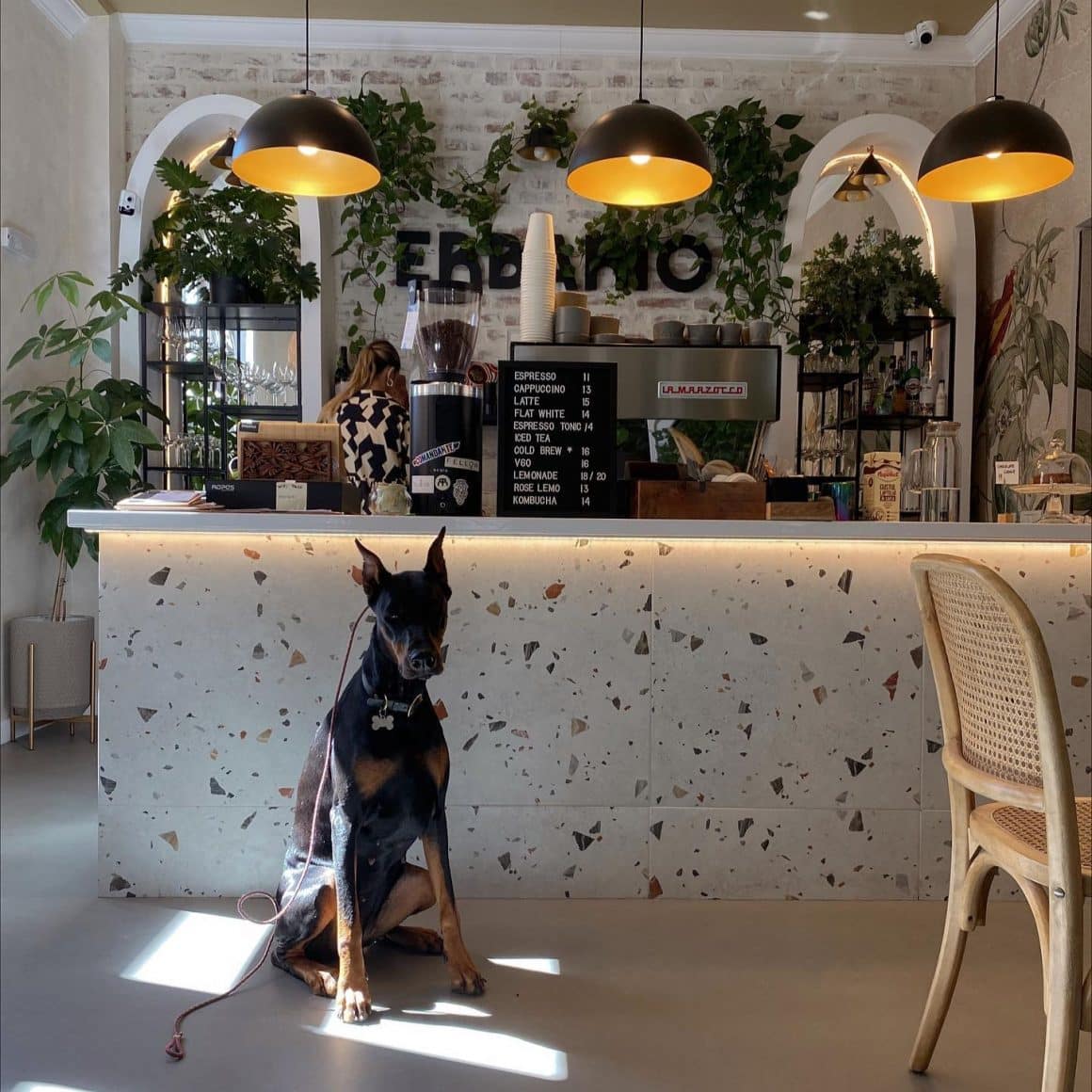 Zona de bar de la Erbario are un design modern, cu plante și accente naturale, iar meniul de cafea include specialități pentru toate gusturile.