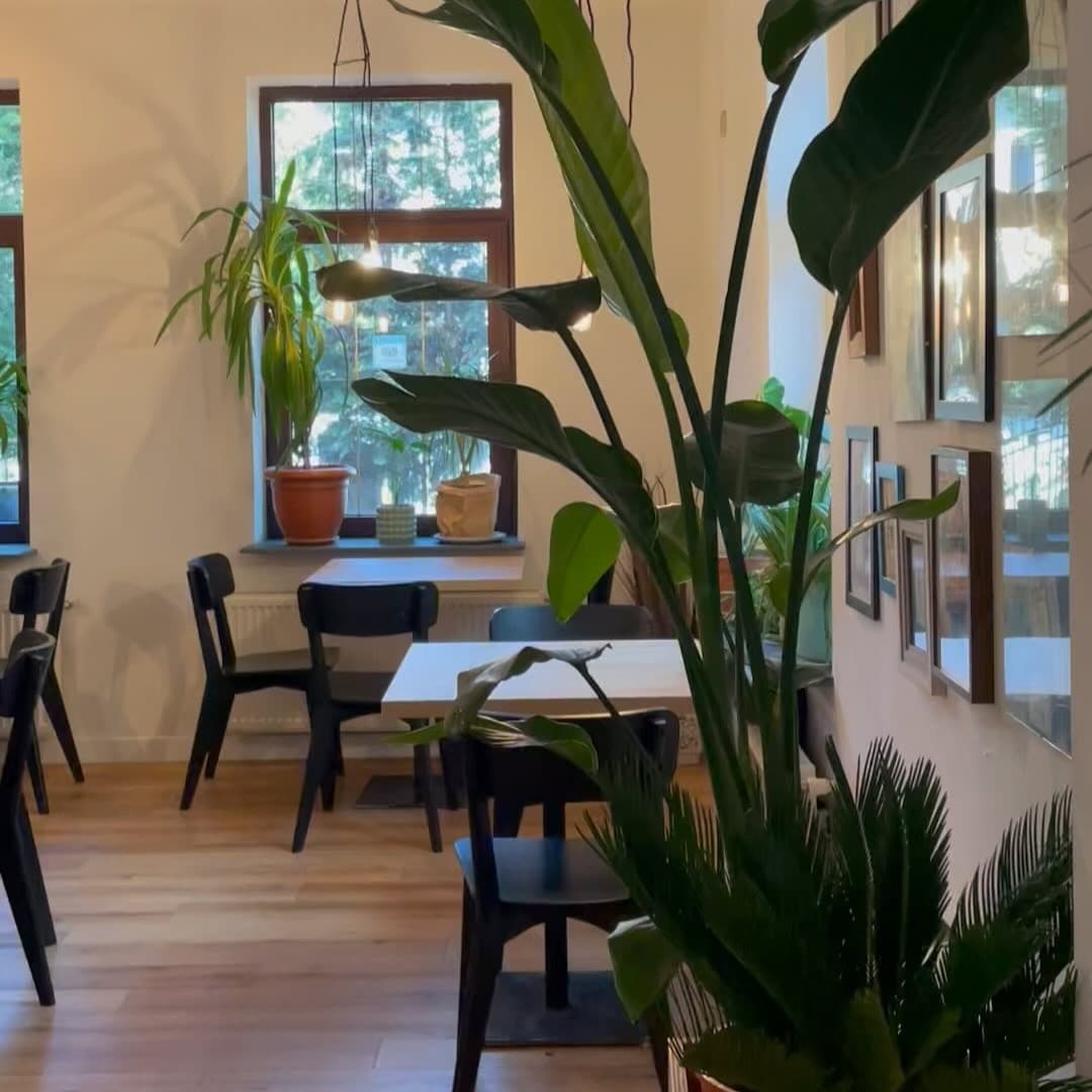 Replace este una dintre acele cafenele pentru lucru remote în București unde găsești lumină naturală, plante verzi și mese suficiente pentru a lucra în liniște.