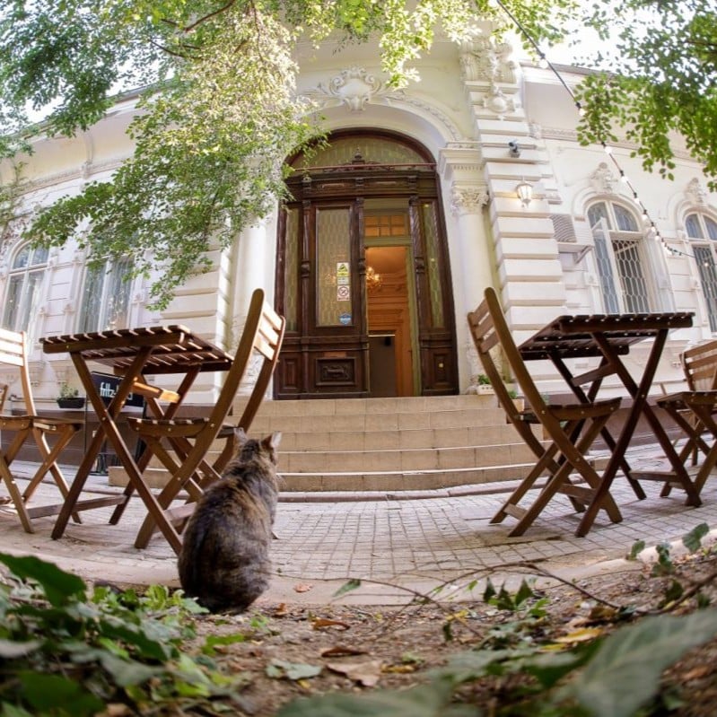 Curtea de la Coftale are mese din lemn, multă umbră și un aer relaxat, fiind un loc unde poți sta liniștit la cafea sau cu laptopul.