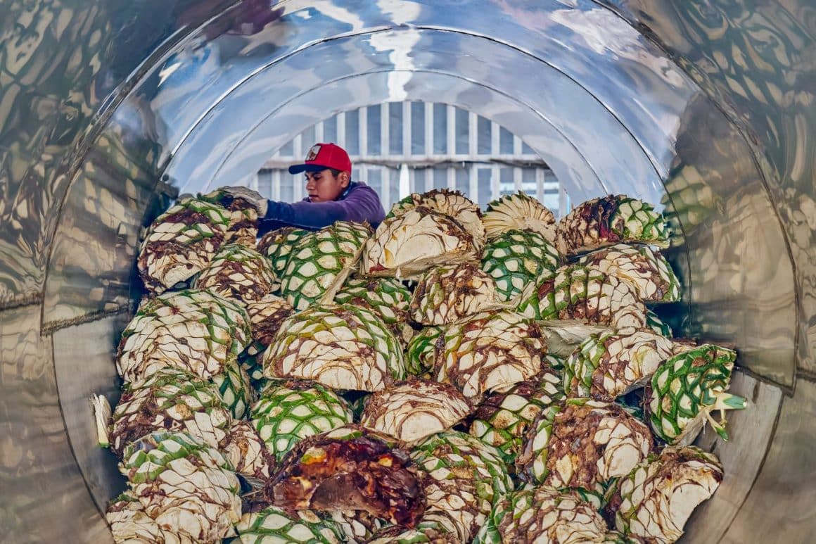 Fabrica de tequila, unde pina sunt puse in cuva pentru a fi utilizate. Din ce se face tequila