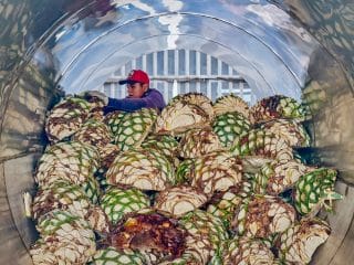 Din ce se face tequila: povestea din spatele băuturii mexicane