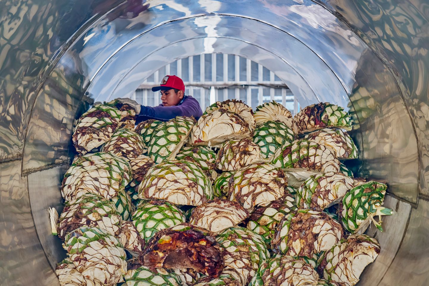 Din ce se face tequila: povestea din spatele băuturii mexicane