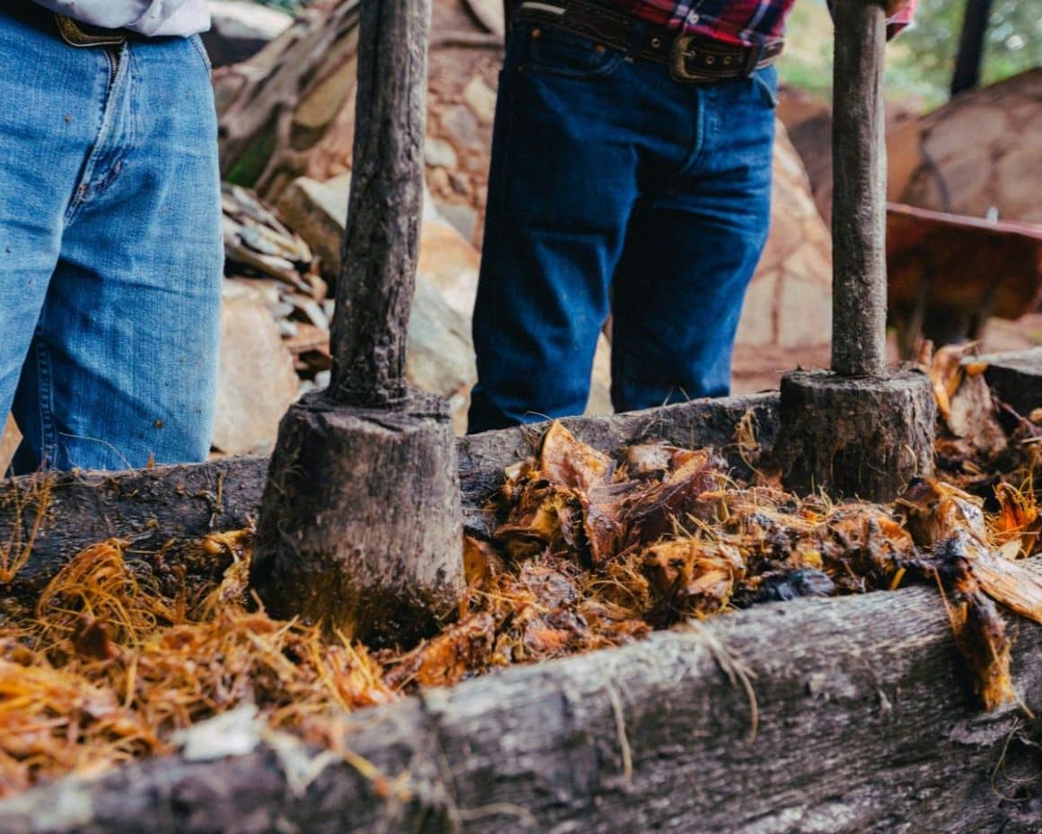 pina zdrobite, din ce se face tequila