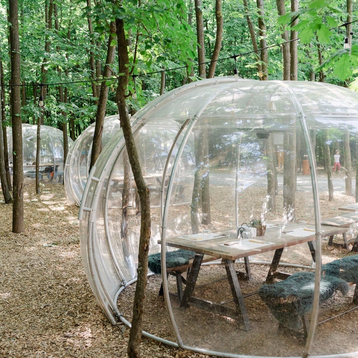 igluuri cu mese asezate in padure