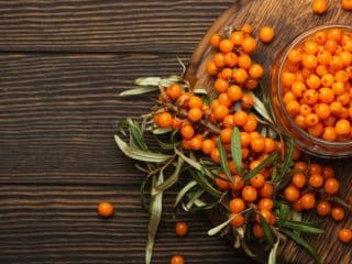 Cum poți integra cătina în alimentația ta pentru a te bucura de beneficiile ei?